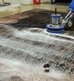 Professional rug cleaning with a rotary floor machine and shampoo foam, deep-cleaning an area rug Kansas City, KS.